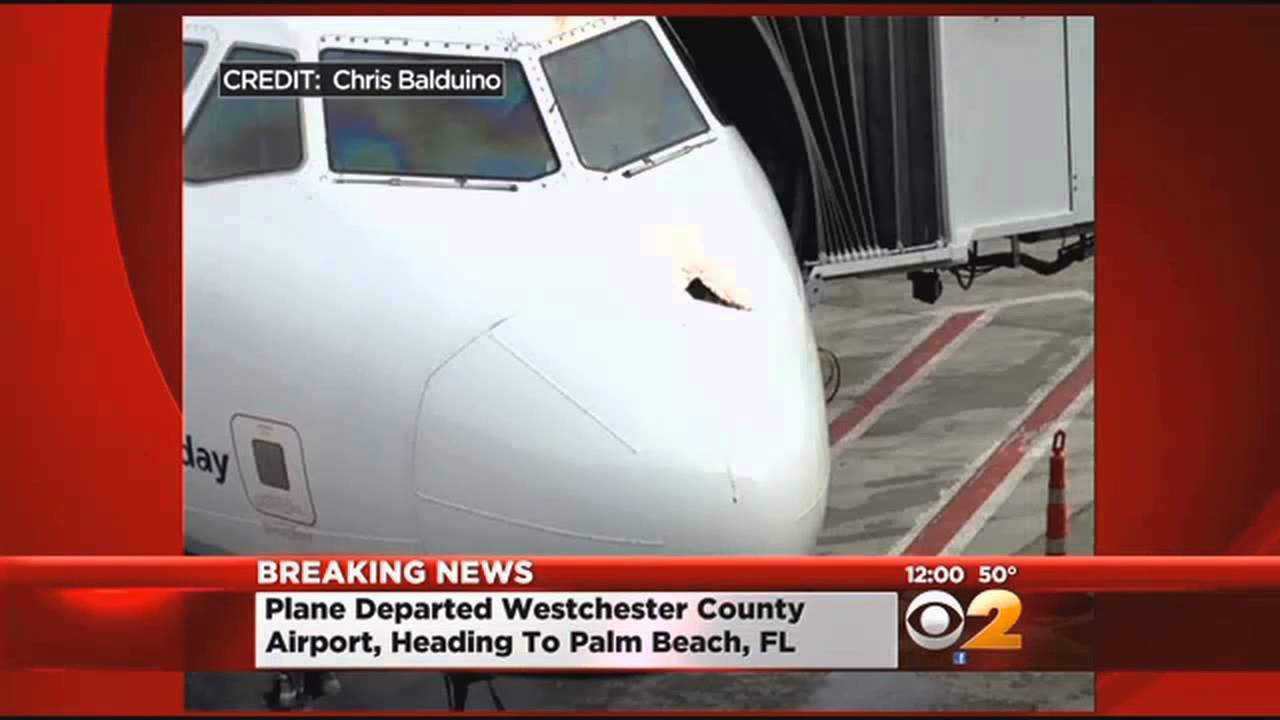 Bird Strike Forces JetBlue Plane To Make Emergency Landing At JFK