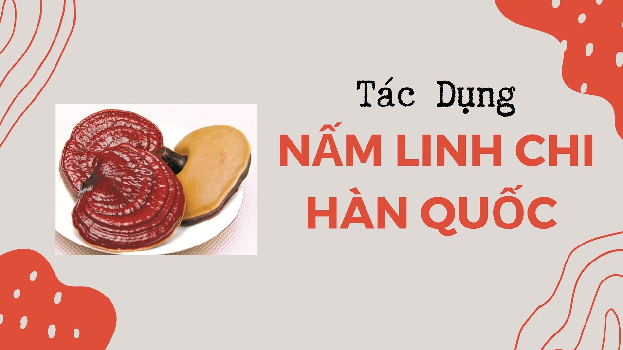 T&aacute;c Dụng Của Nấm Linh Chi H&agrave;n Quốc V&agrave; C&aacute;ch D&ugrave;ng Nấm Linh Chi - Thi Đặng - ANaNa Nh&acirc;n S&acirc;m Korea