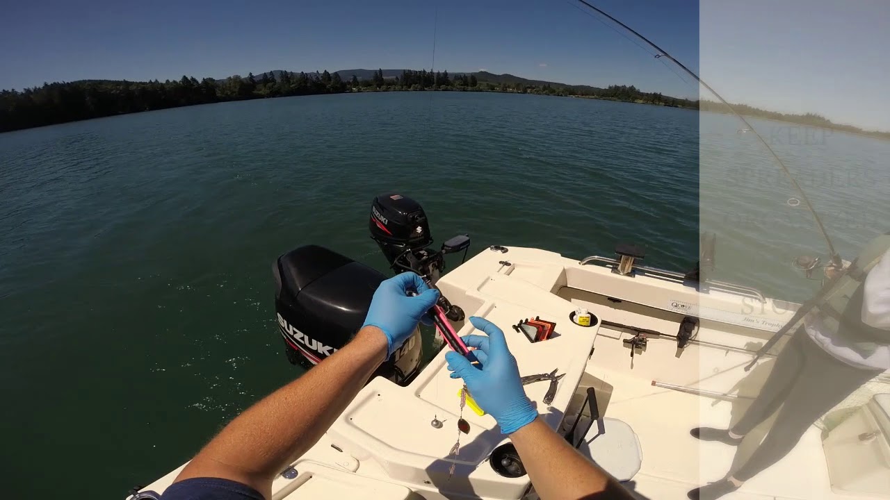 QuickSplit Flasher Spreader Demo