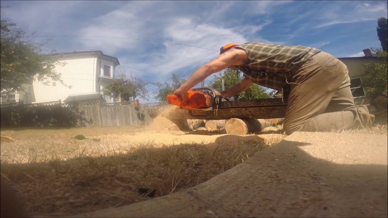 BACK YARD ALASKAN MILLING CHESTNUT