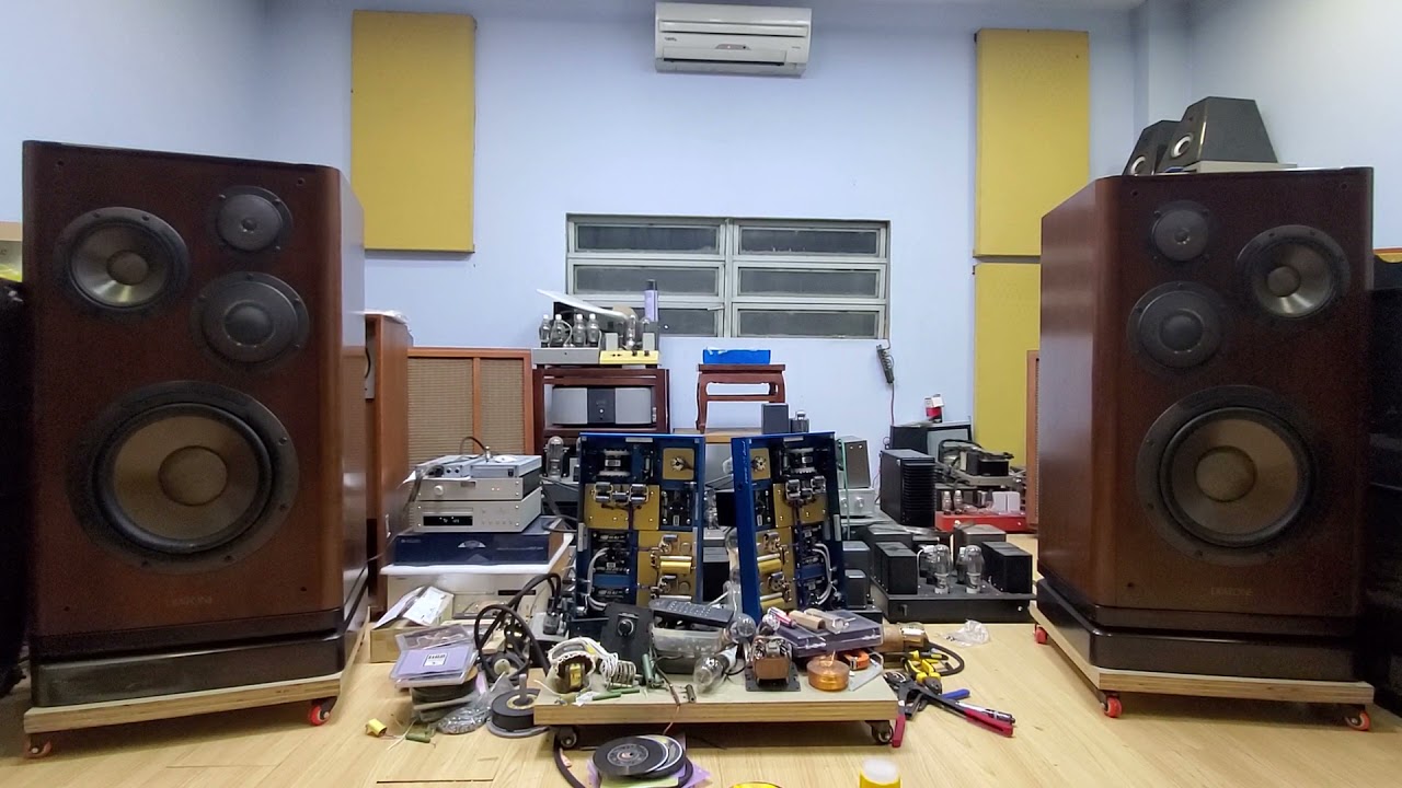 Diatone DS-V5000 + Uesugi El34 PSE