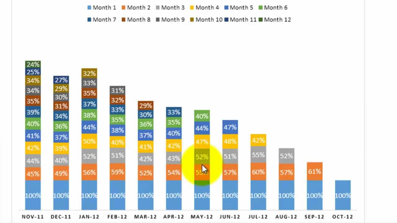 Excel: Cohort Analysis