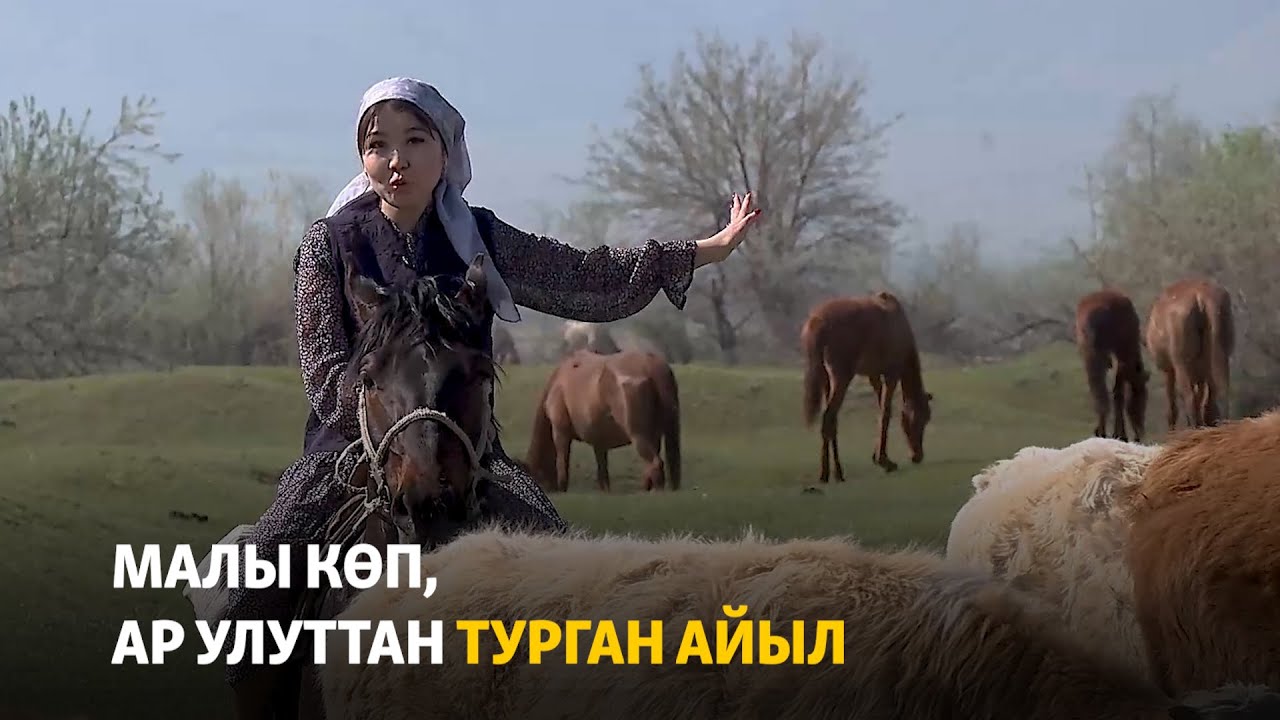 Малы көп, ар улуттан турган айыл