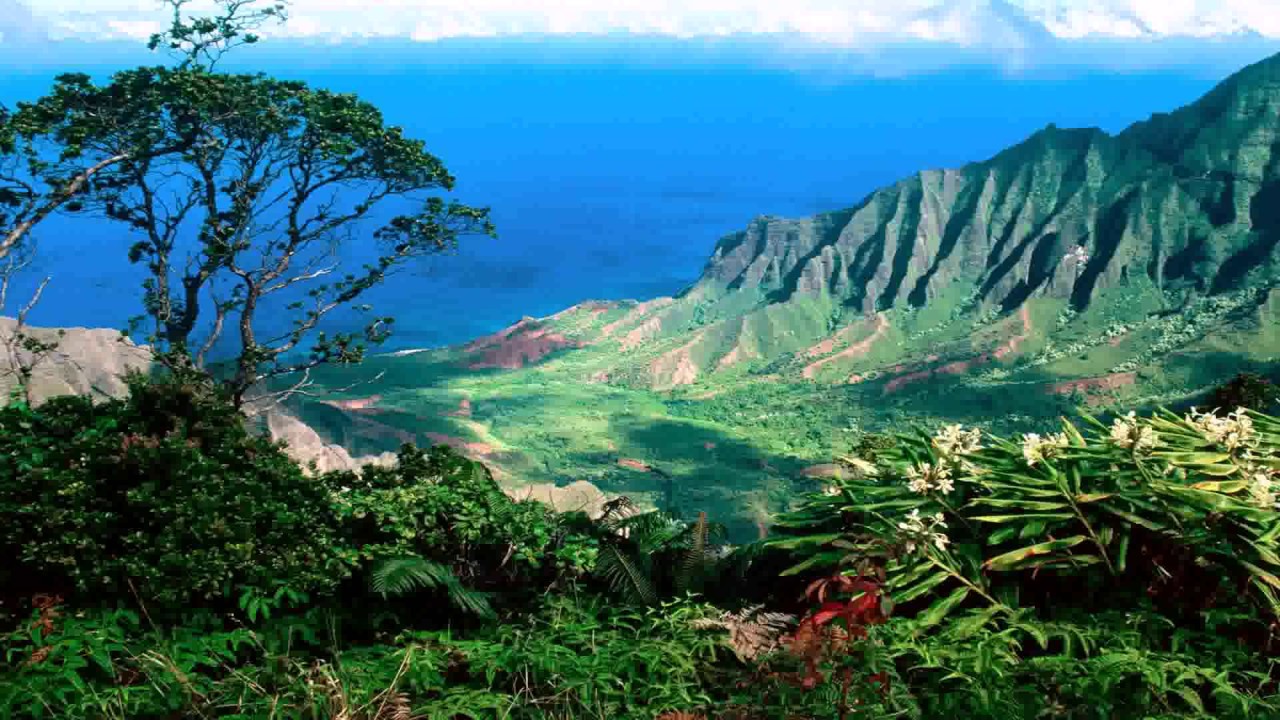 Landscaping Ideas Hawaii Pictures
