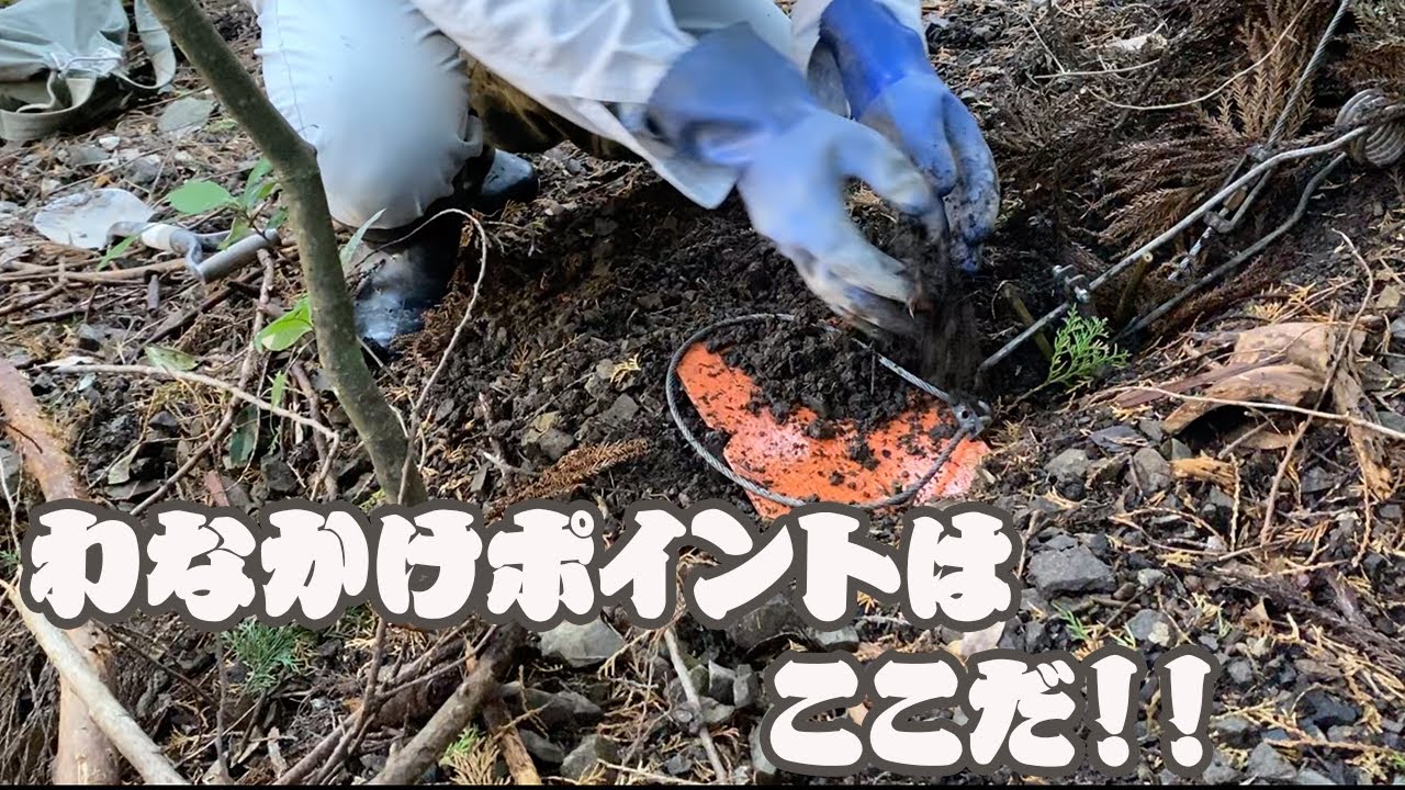 【ジビエ】わなを架けるポイントを探す（わな架け正面アングルあり）