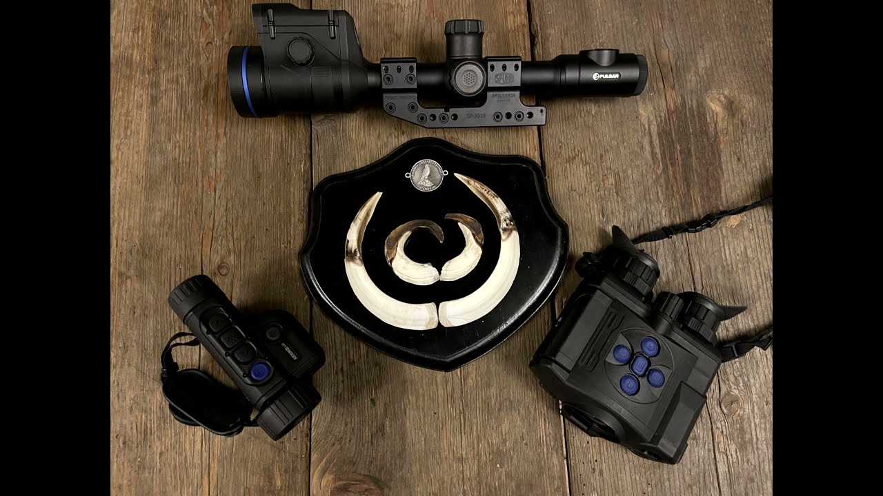 Using the Pulsar Thermion 2 LRF Pro XP50 - Boar, Deer, Moufflon, Piglets