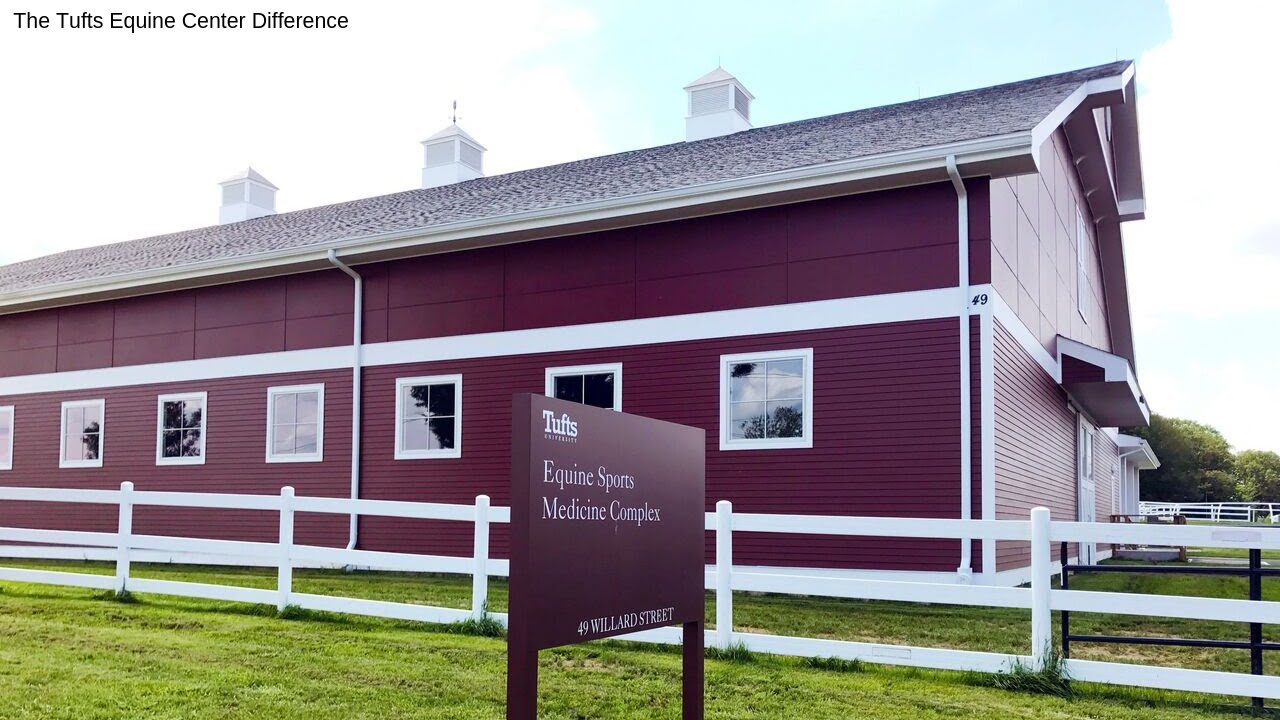 The Tufts Equine Center Difference