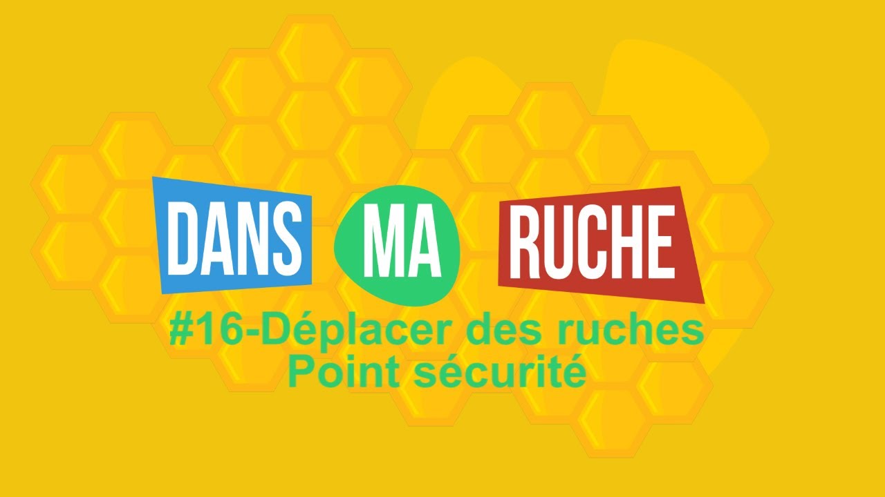 #16-Déplacer des ruches : point sécurité