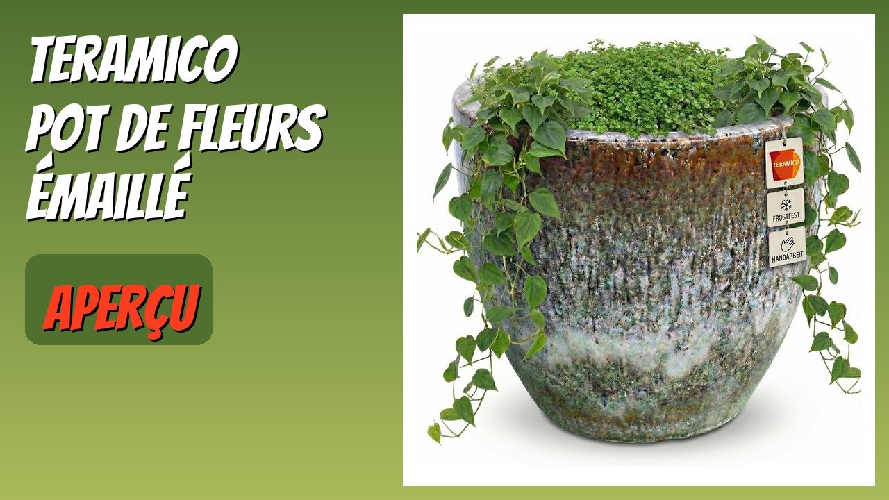 AVIS (2026) : Teramico Pot de fleurs émaillé. DÉTAILS