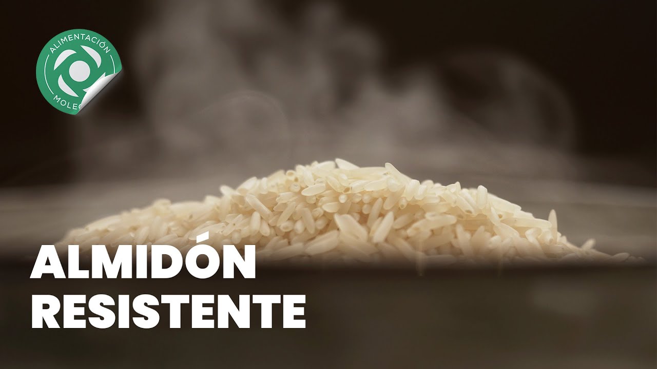 🍚Almidon resistente a la digestion humana | Fragmento de Conferencia #4 contra las enfermedades