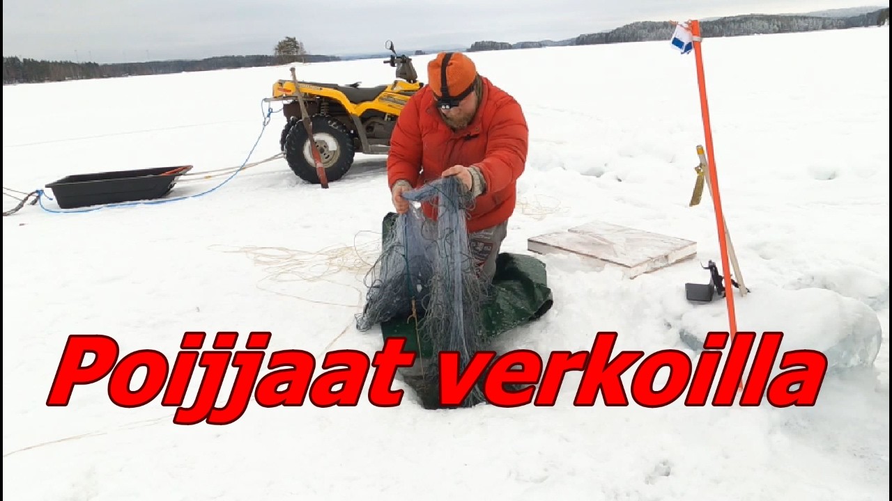 Poijjaat verkoilla