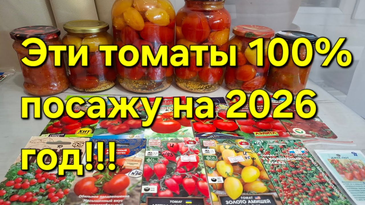 Самые лучшие томаты на 2026 год!!!Урожайные!!!