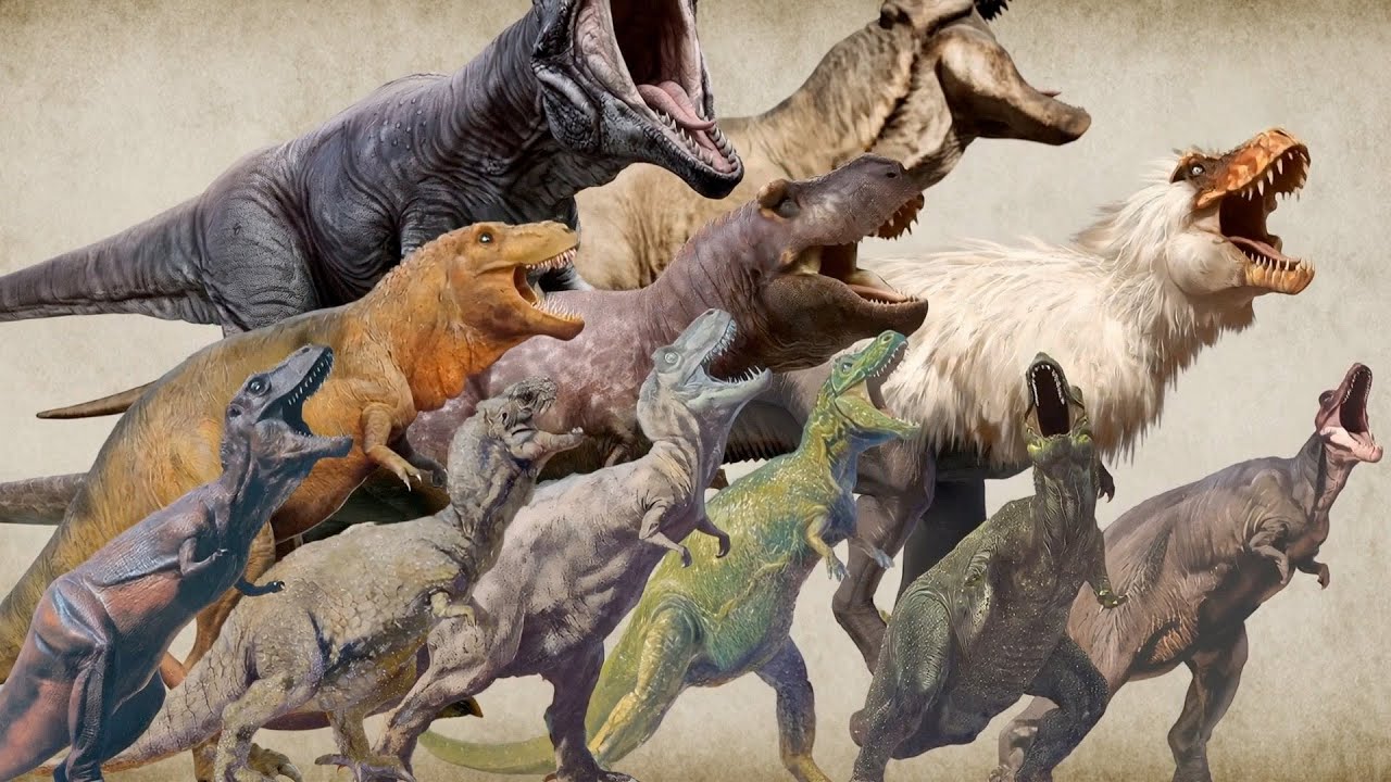 Evolution of T-Rex&rsquo;s Appearance and Form