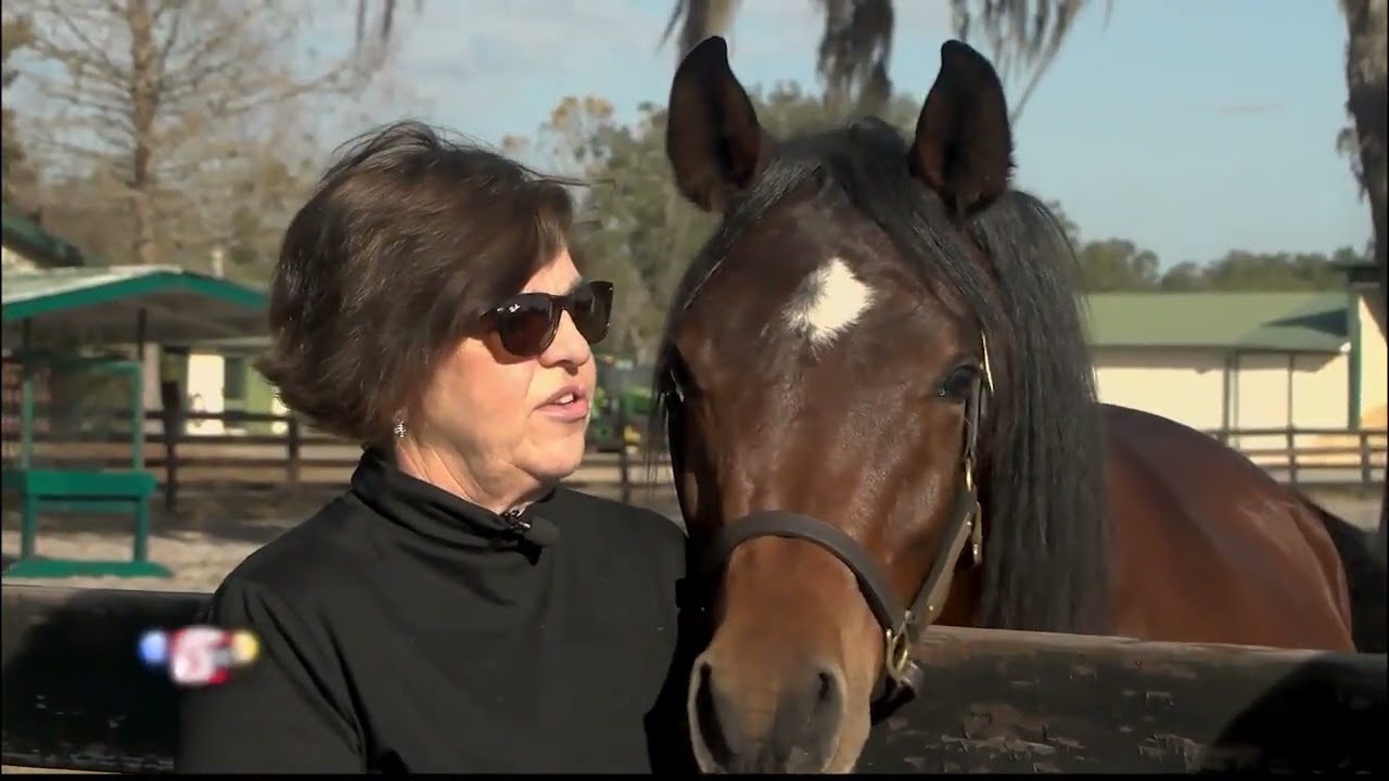 Discover Florida’s Horse Farms - Sponsored by Visit Florida