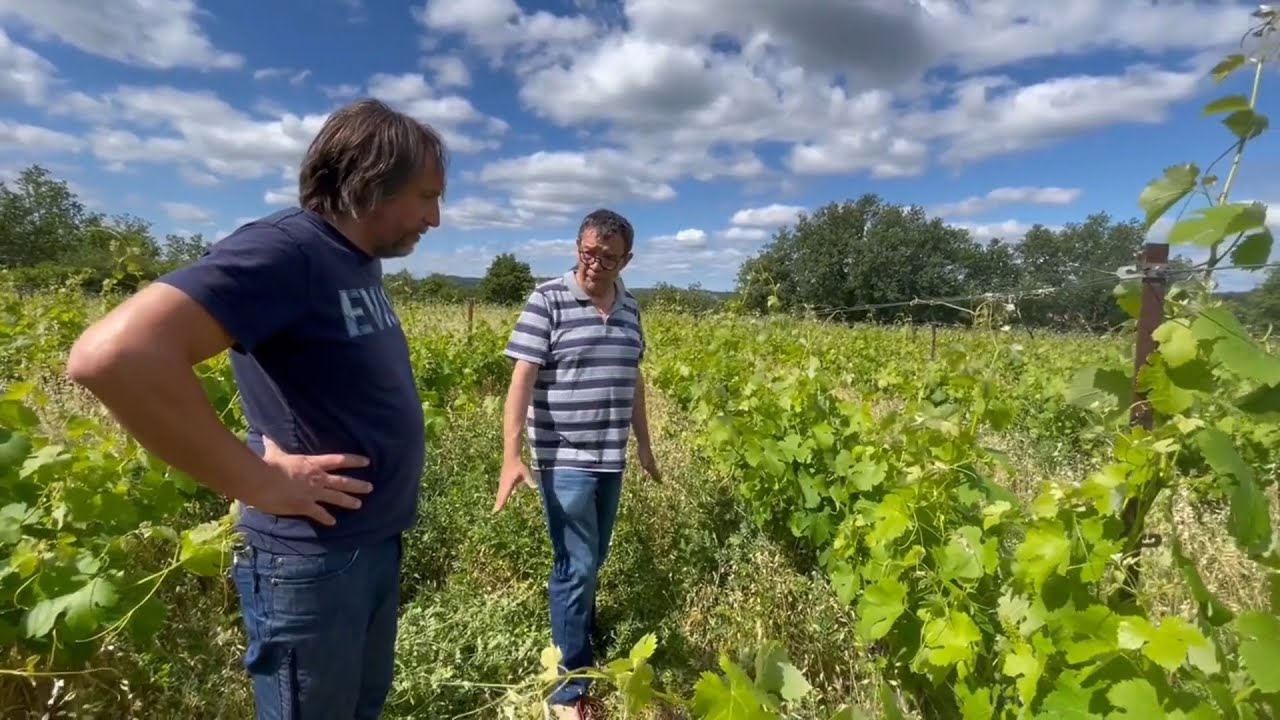 Agroreportage France 2021 - Essais viticoles dans les Cévennes - version longue
