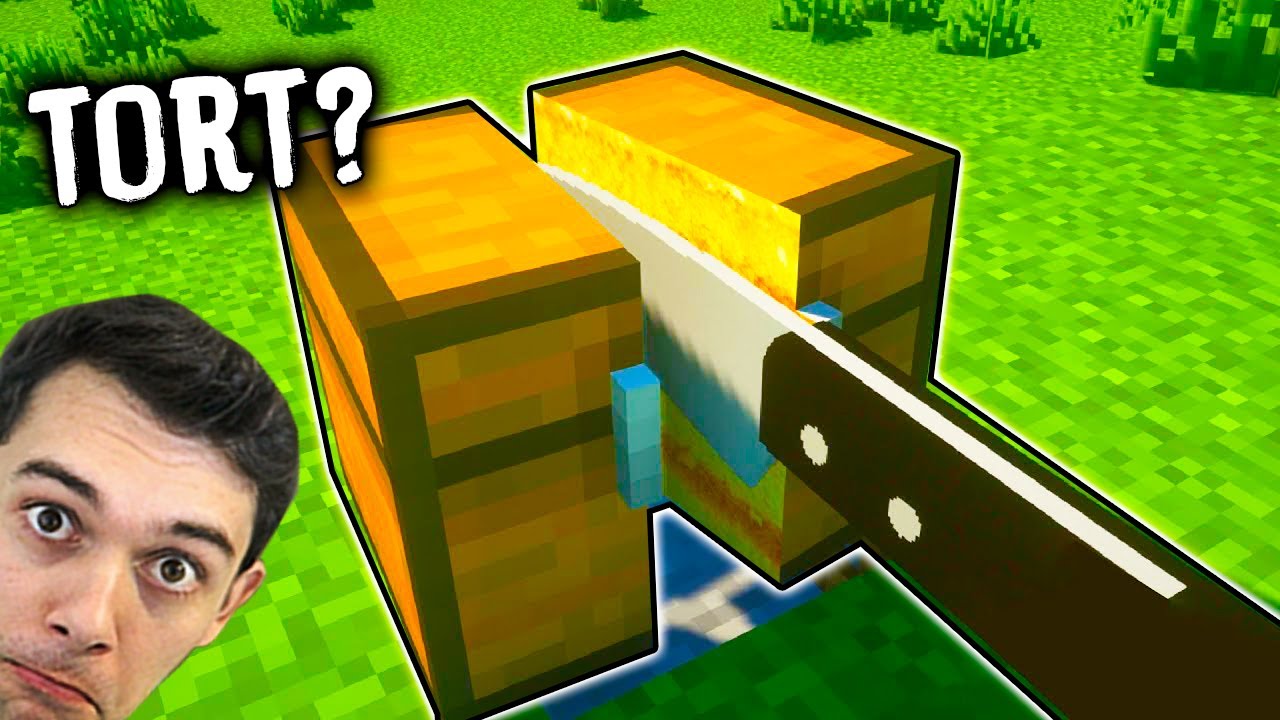 Minecraft DAR TOTUL ESTE DIN TORT !!!