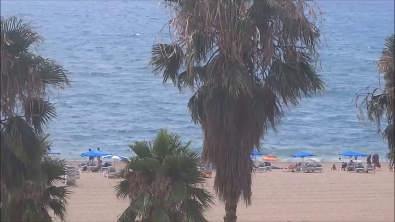 Отель Hotel Sorra Daurada Splash *** (Мальграт-де-Мар, Испания)