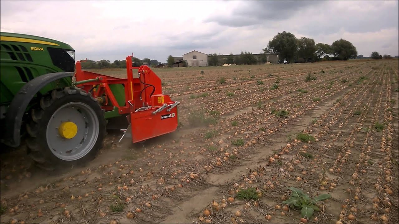 HOLARAS obcinacz szczypioru i kopaczka do cebuli UM i UR / HOLARAS Haulmtopper &  Onion windrower