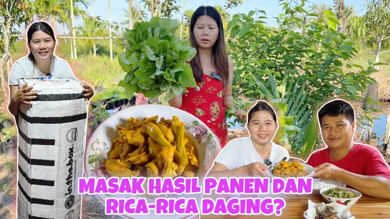 PANEN SEMUA SAYUR BAYAM SEBAGIAN KITA JUAL DAN UNBOXING PAKET JUMBO