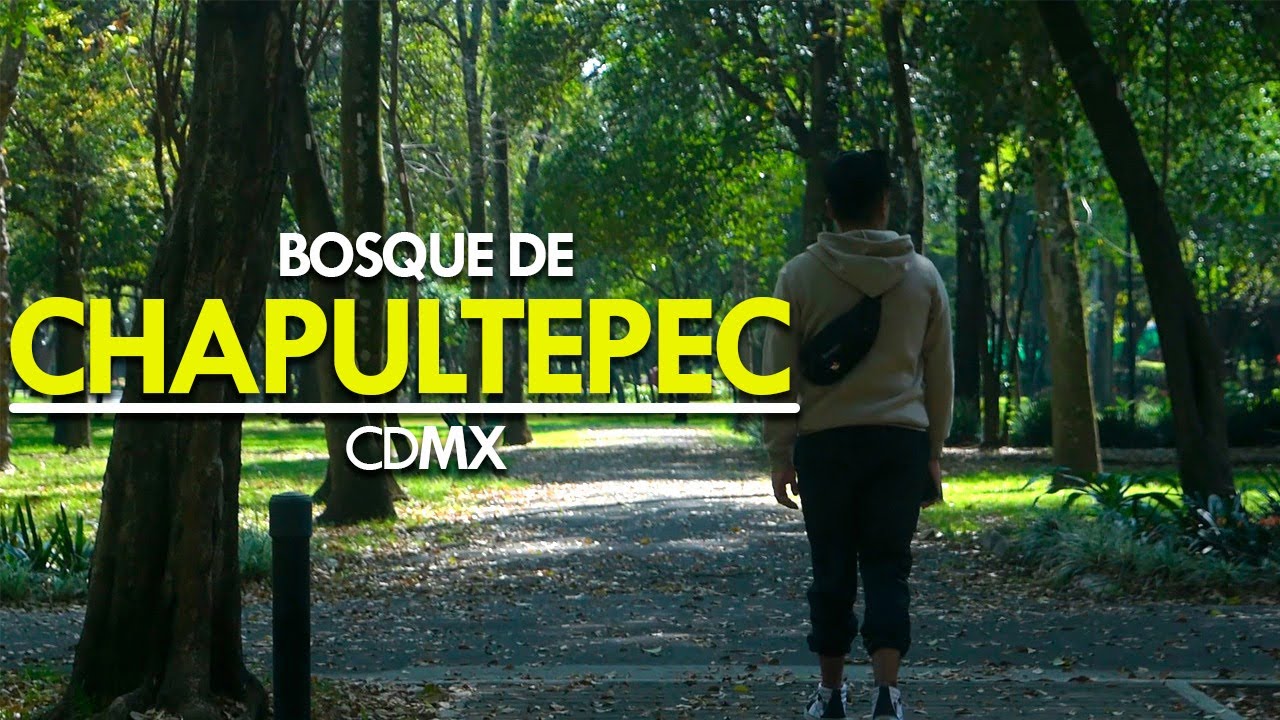 &iquest;Qu&eacute; hacer en Chapultepec? CDMX - Qu&eacute; Chido!