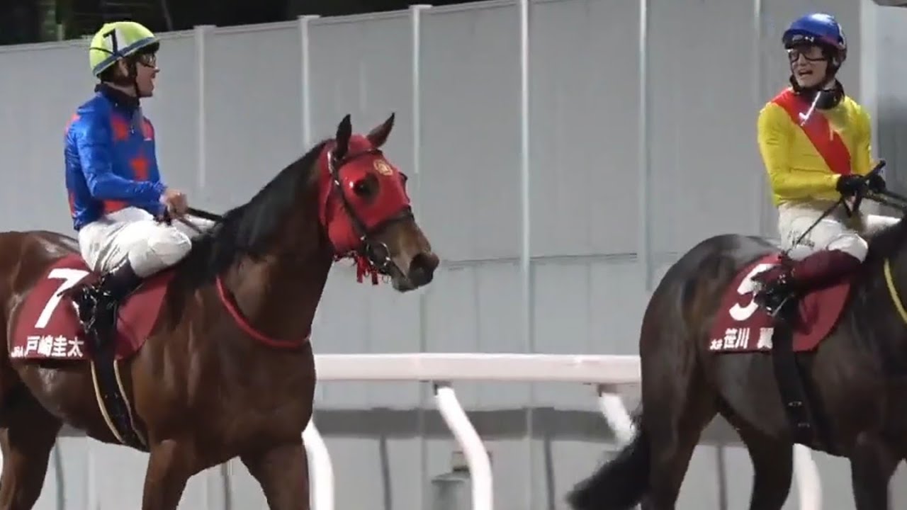 【戸崎圭太騎手が佐々木竹見カップジョッキーズGPマイスターチャレンジを制す】1着テンダリー号   2026年2月3日（火）川崎競馬場