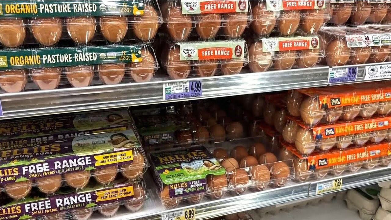 Poultry farmers impacted by bird flu express concerns as egg prices rise