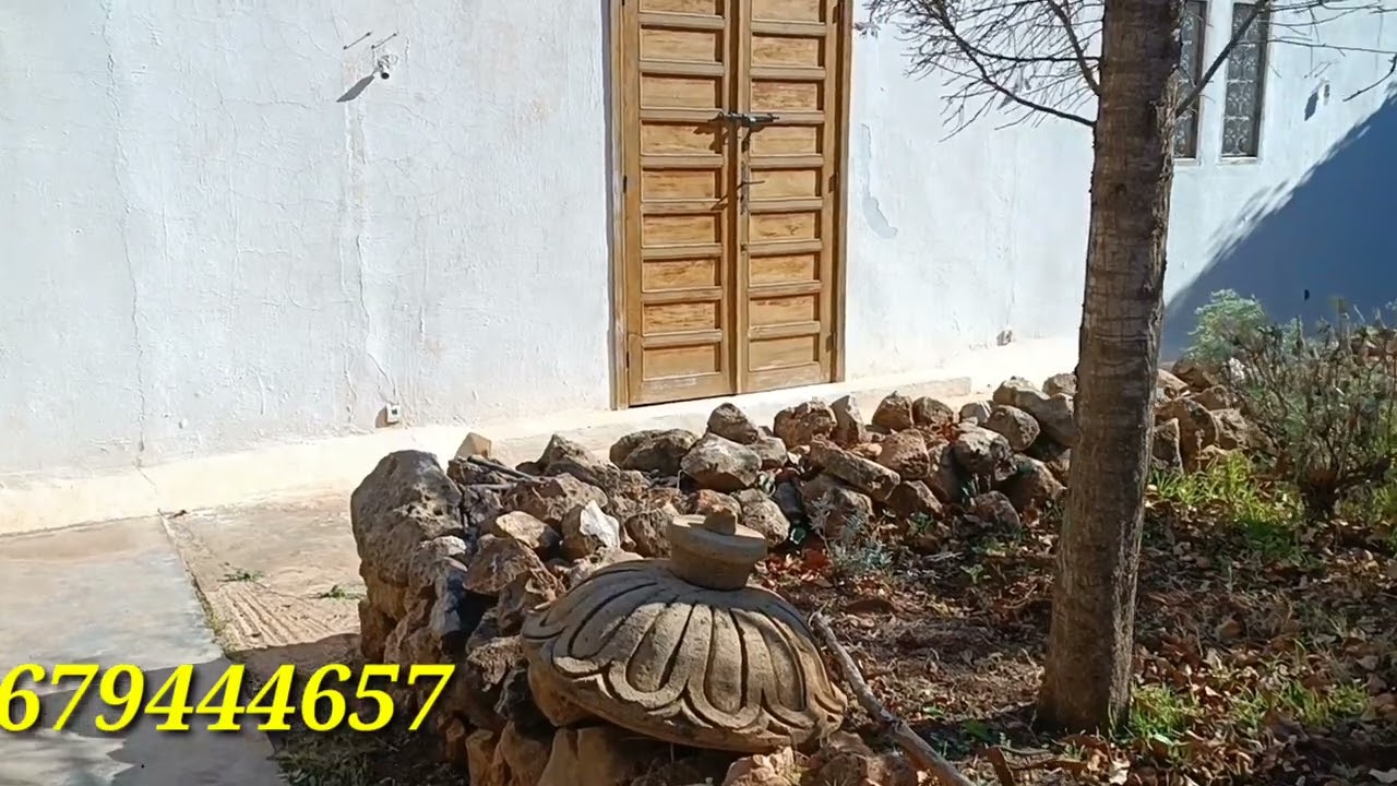 فيرما وسط الماء ساقية 1200 زيتون رياض ڨيلا كورا 🐑🐄🐏🐕‍🦺 قريبة لمدينة 4 هكتار خاوية دار عساس 14 هكتار🙋