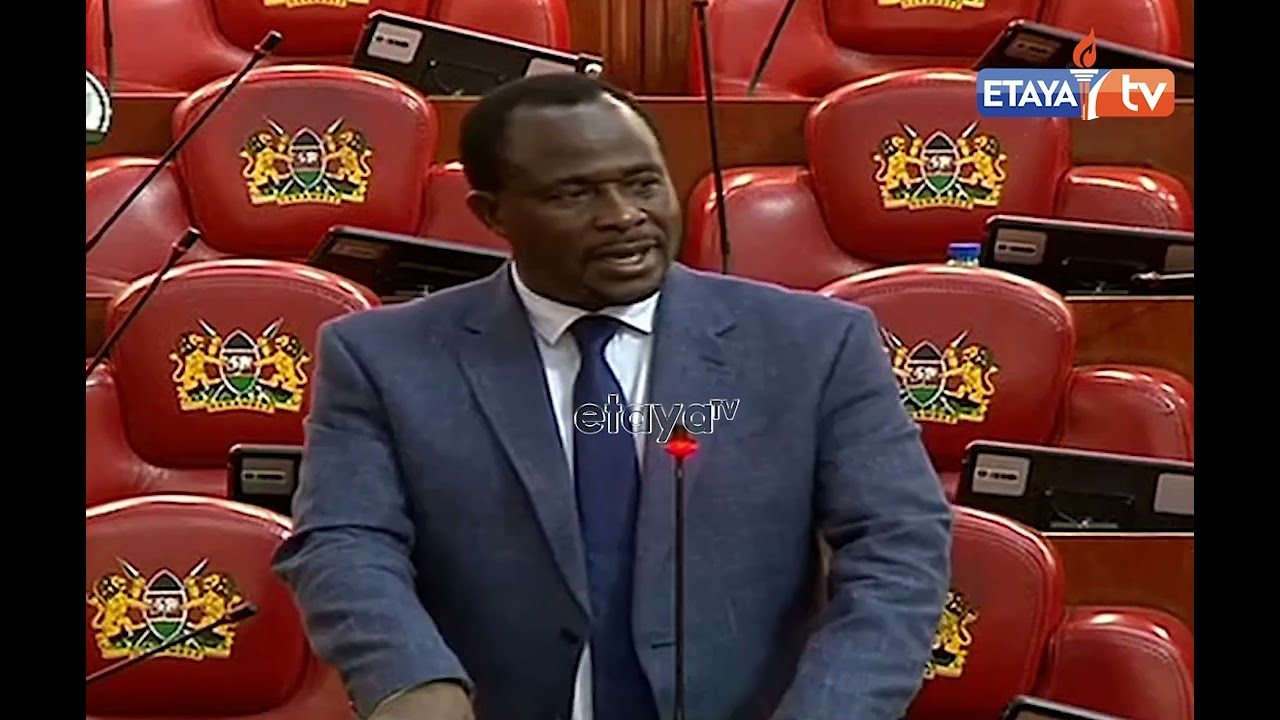MP Mogaka has urged lawmakers to adopt a structured regulatory framework on tiktok instead of a ban