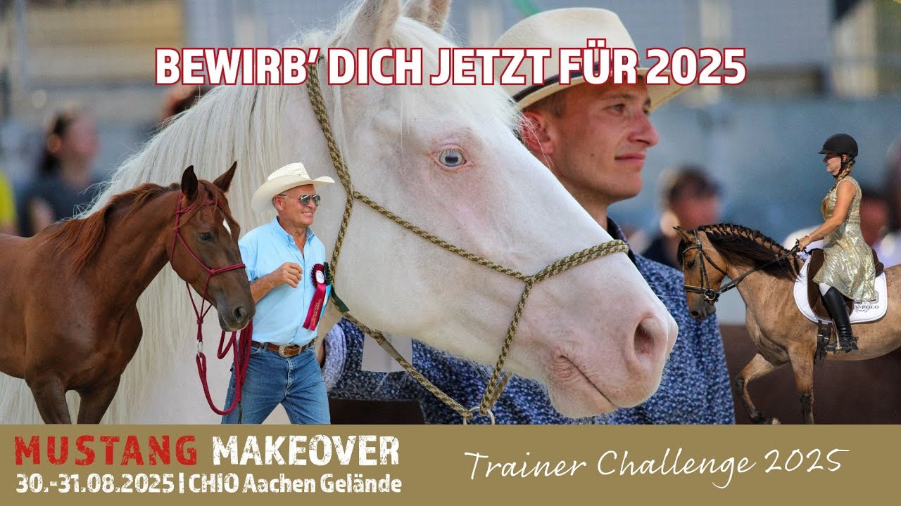 TRAINER CHALLENGE 2025 - Sei dabei!