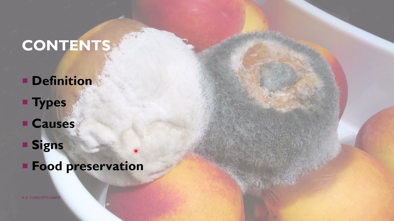 Food spoilage, Types, signs, causes, prevention | microbes man and environment | A-Z Concepts guide