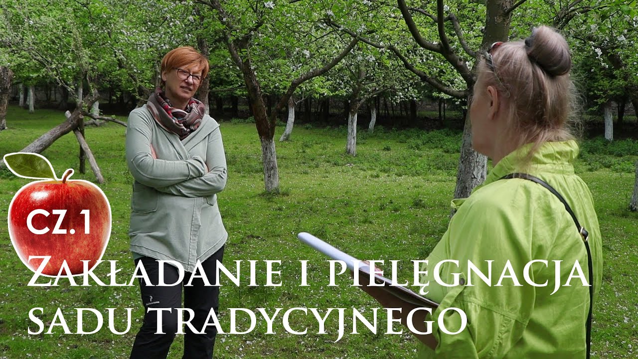 Zakładanie i pielęgnacja sadu tradycyjnego CZ.1 - Arboretum i Zakład Fizjografii w Bolestraszycach