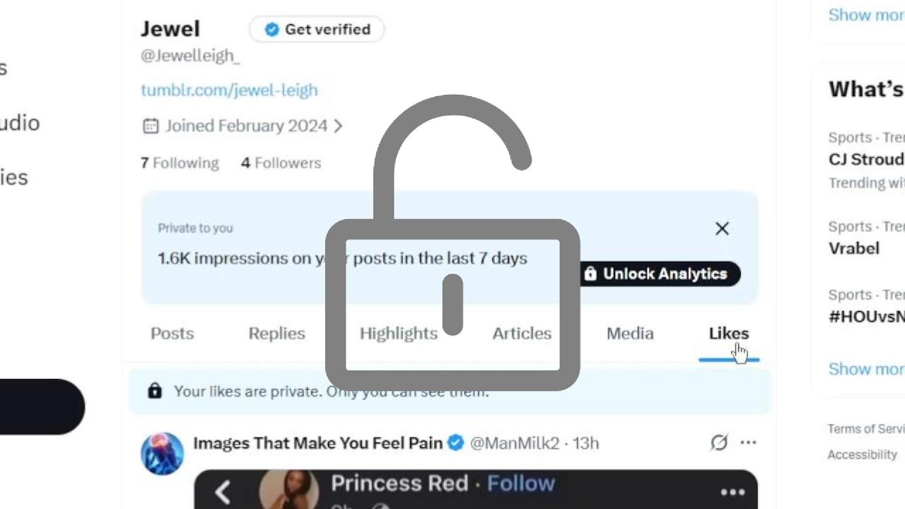 Revealing My Twitter Likes 🤫
