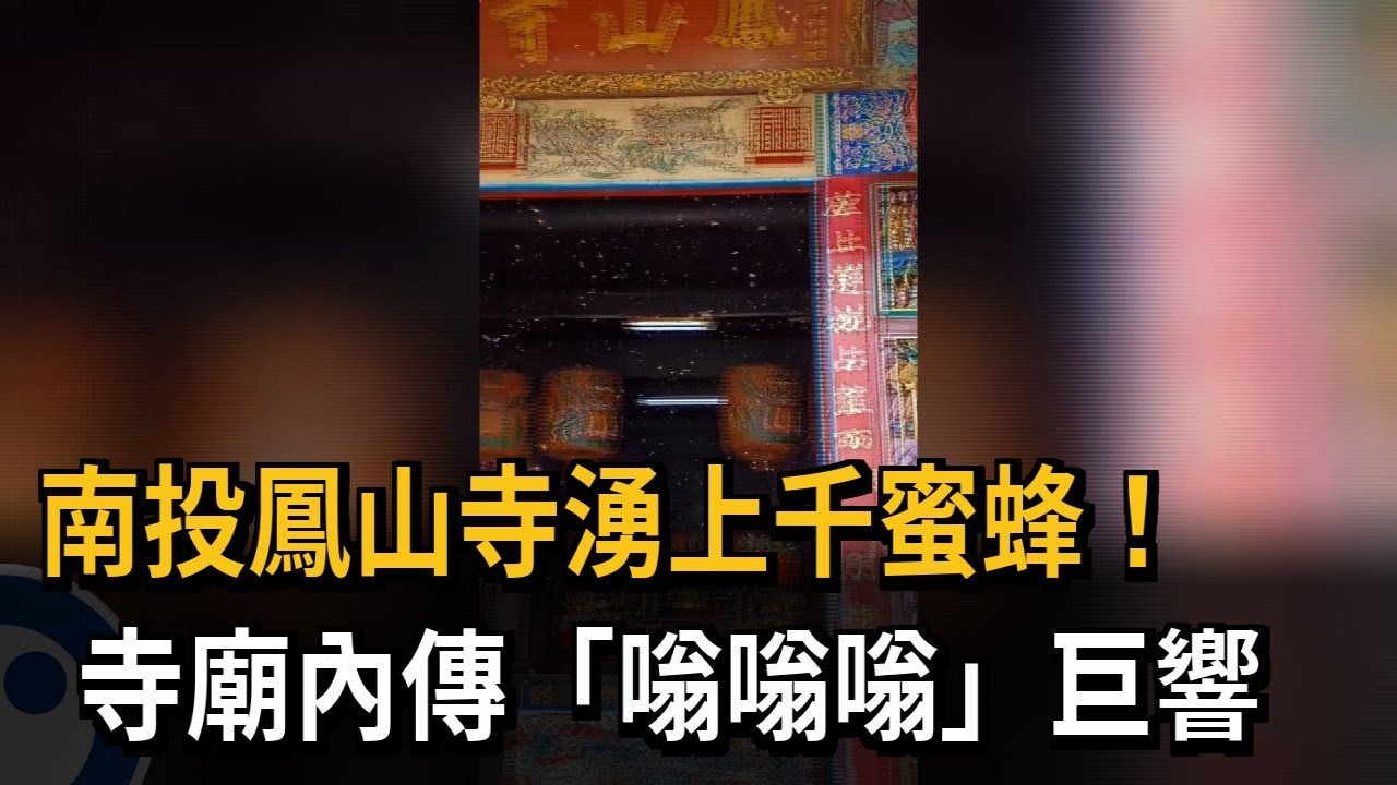 南投鳳山寺湧上千蜜蜂！ 寺廟內傳「嗡嗡嗡」巨響－民視新聞