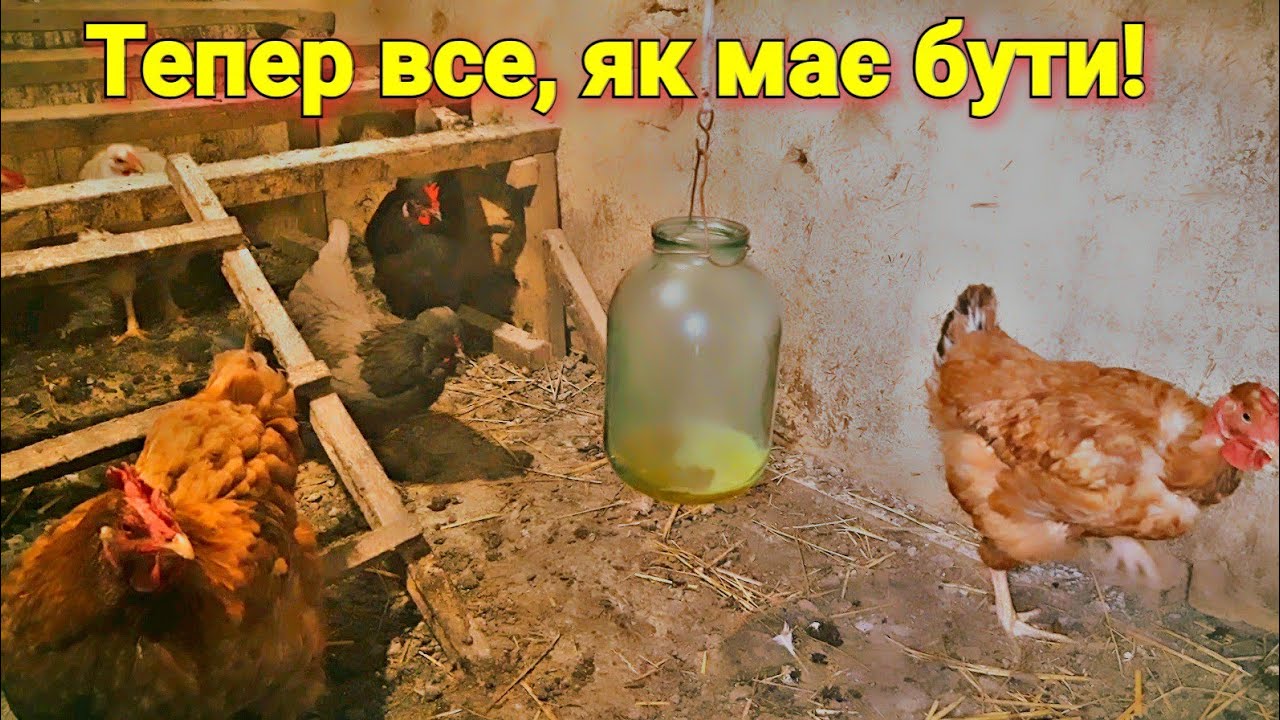 Який потрібно йод,  для дезінфекції‼