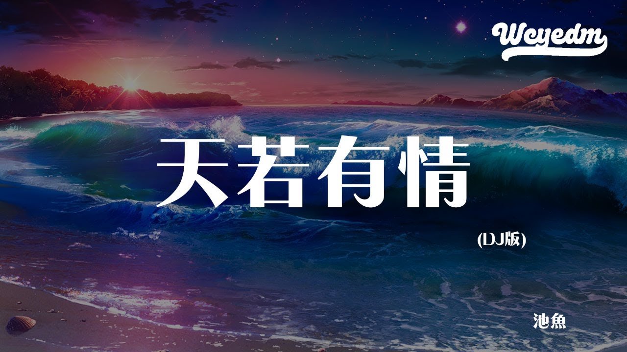 池鱼 - 天若有情 (DJ版)「流水不付一世深情 只身回望太匆匆」【動態歌詞/pīn yīn gē cí】#池鱼 #天若有情 #動態歌詞