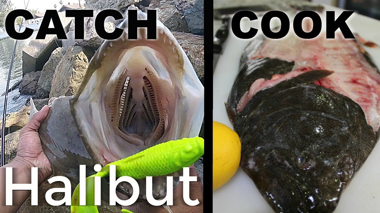 CATCH AND COOK | California Halibut 🎣 Fishing San Diego