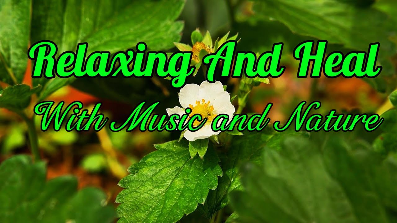 Relaxing with Music and Nature Piano, Pads, Healing Frequencies