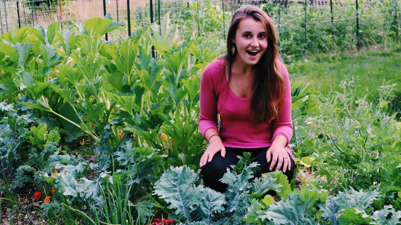 I Was Wrong About Hugelkultur | Hugelkultur Garden One Month Later