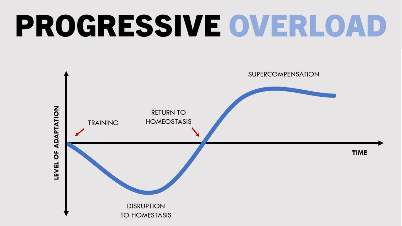 How to Progress Hypertrophy Training | Part 1: Progressive Overload