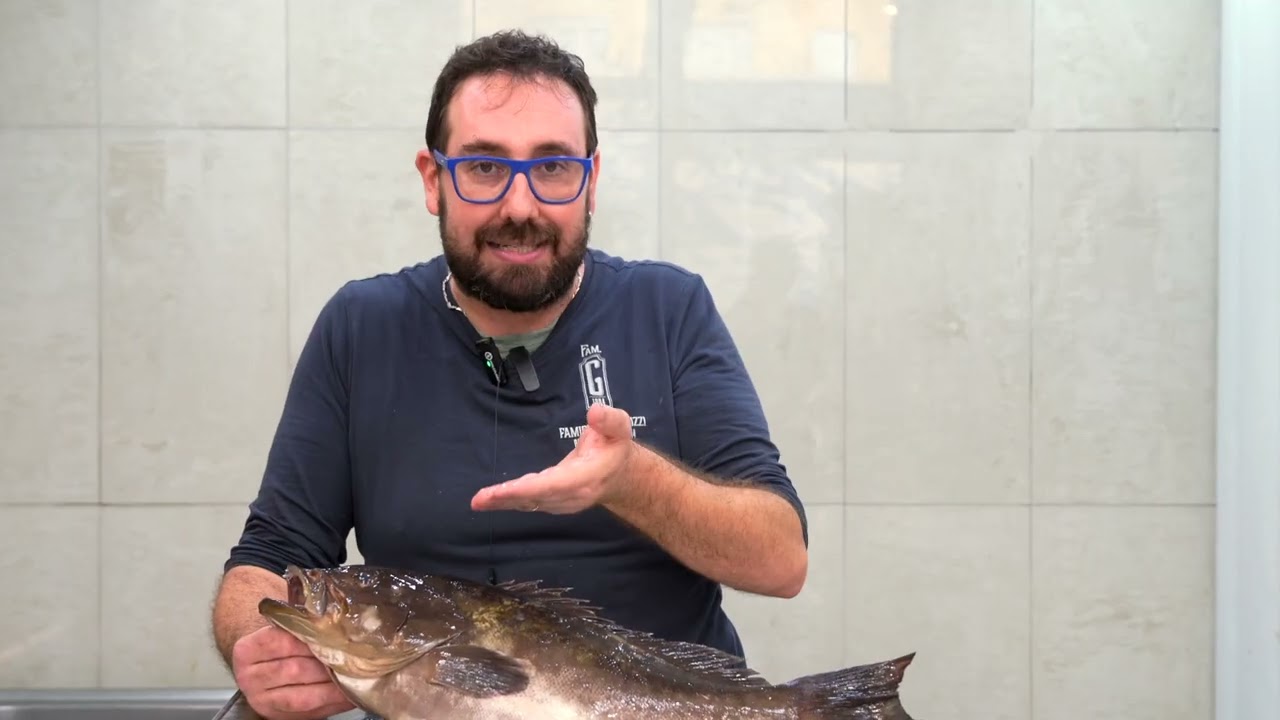 Oggi parliamo di Cernia e di Ombrina!