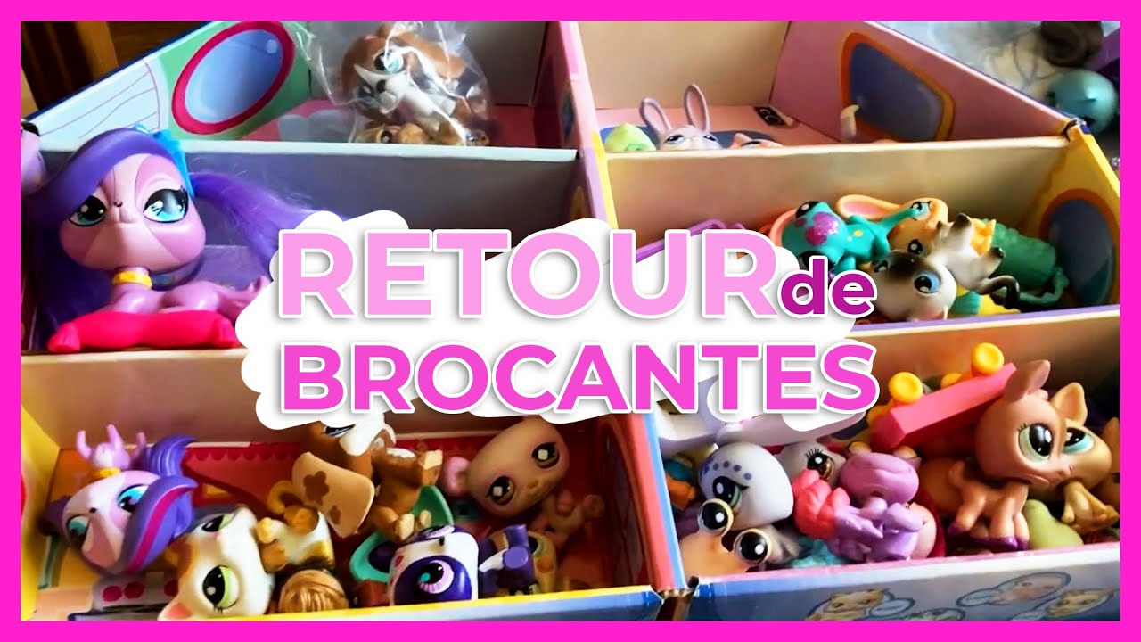 J'AI TROUVÉ PLEIN DE LPS EN VIDE-GRENIERS !!! [Retour de Brocantes]
