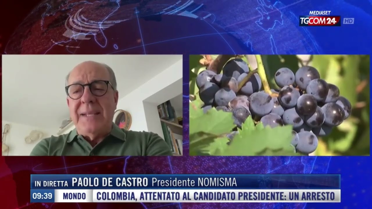 TGCOM24 Paolo De Castro - presidente Nomisma