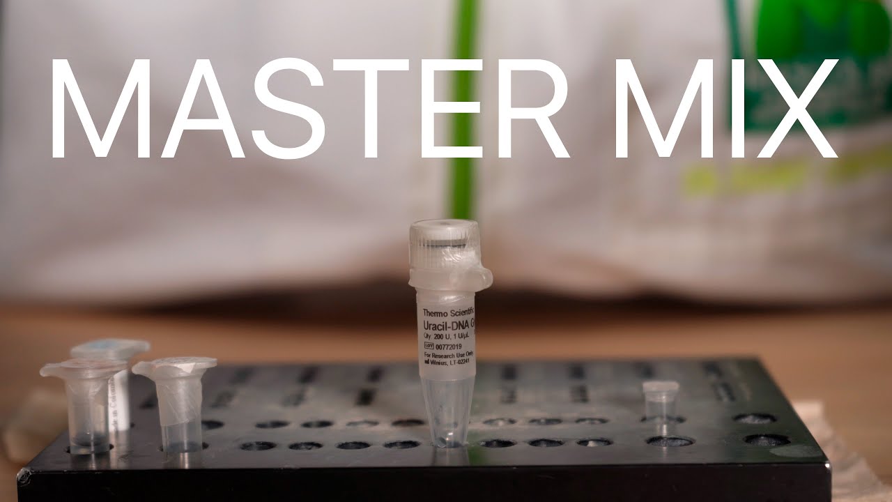Master Mix Universal PCR Punto Final