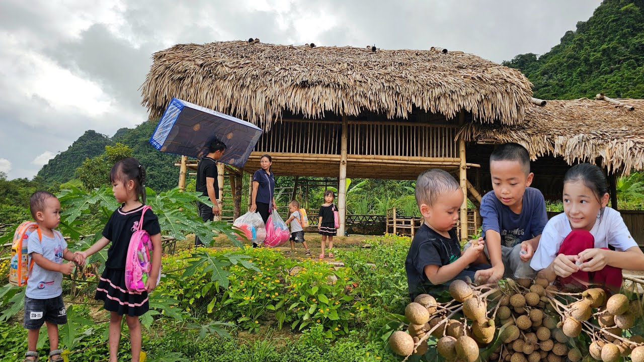 Harvest longans and sell them at the market - Buy mattresses and pillows for two children