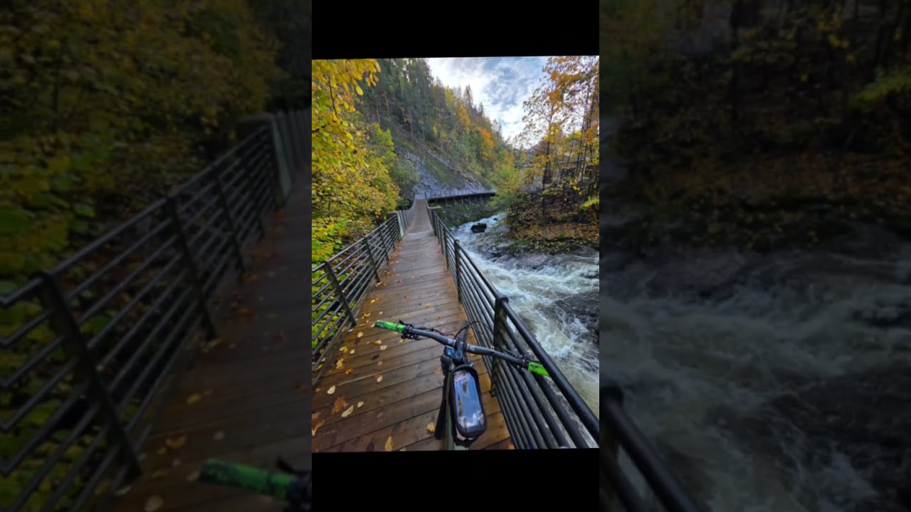 ✨️Trening objazdowy po okolicach Oslo 🚲 #viral #bike #foryou #youtubeshorts #lifeafter40 #oslo