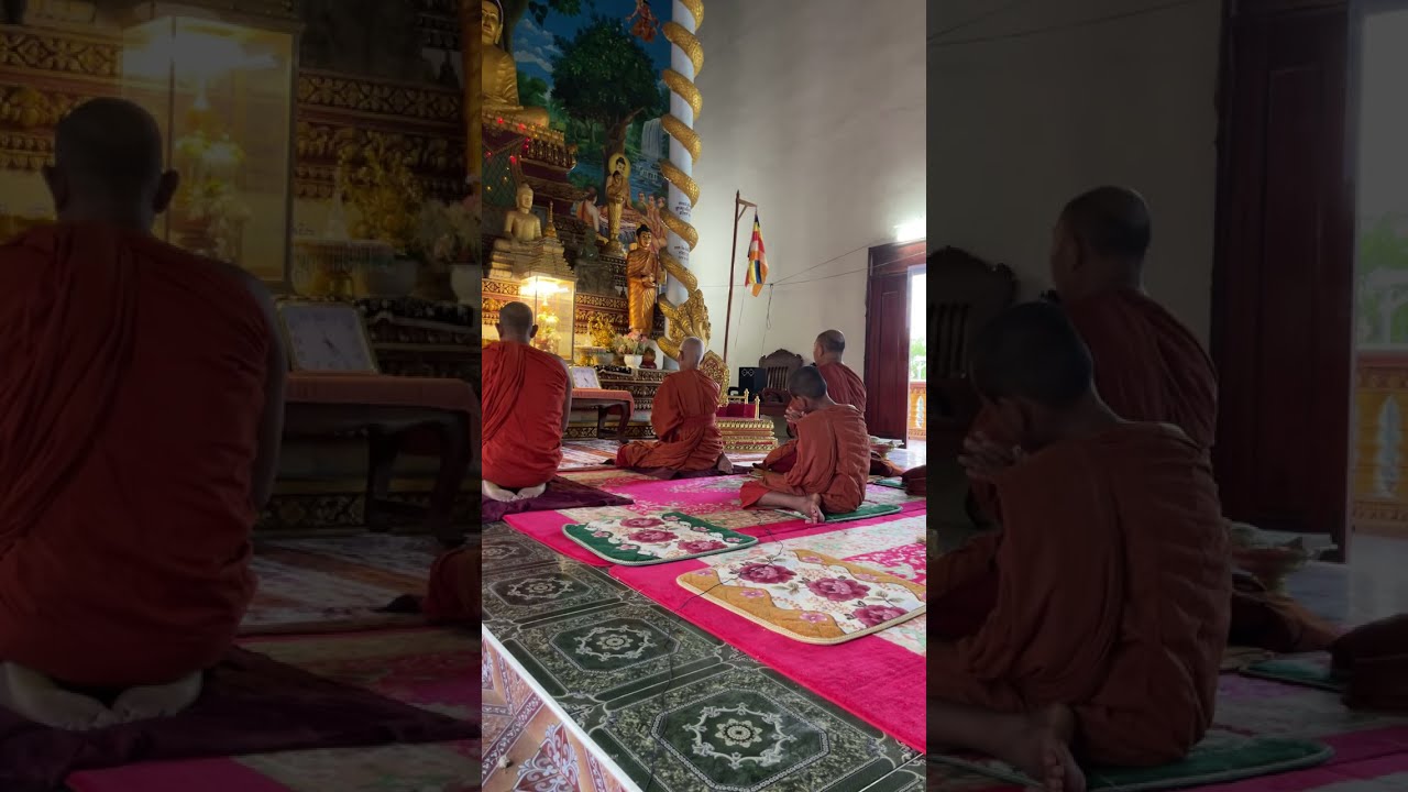 សិក្ខា វិនយោ កំពុង​ផ្សាយបន្តផ្ទាល់!