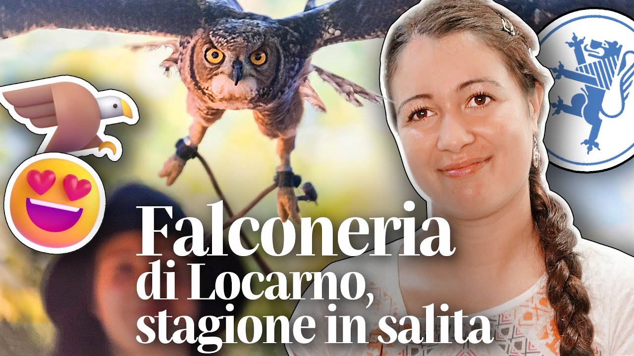 🦅😃 Inizio in salita per la Falconeria di Locarno 🦁💙 però spuntano «Pagine alate» 🦉🪺