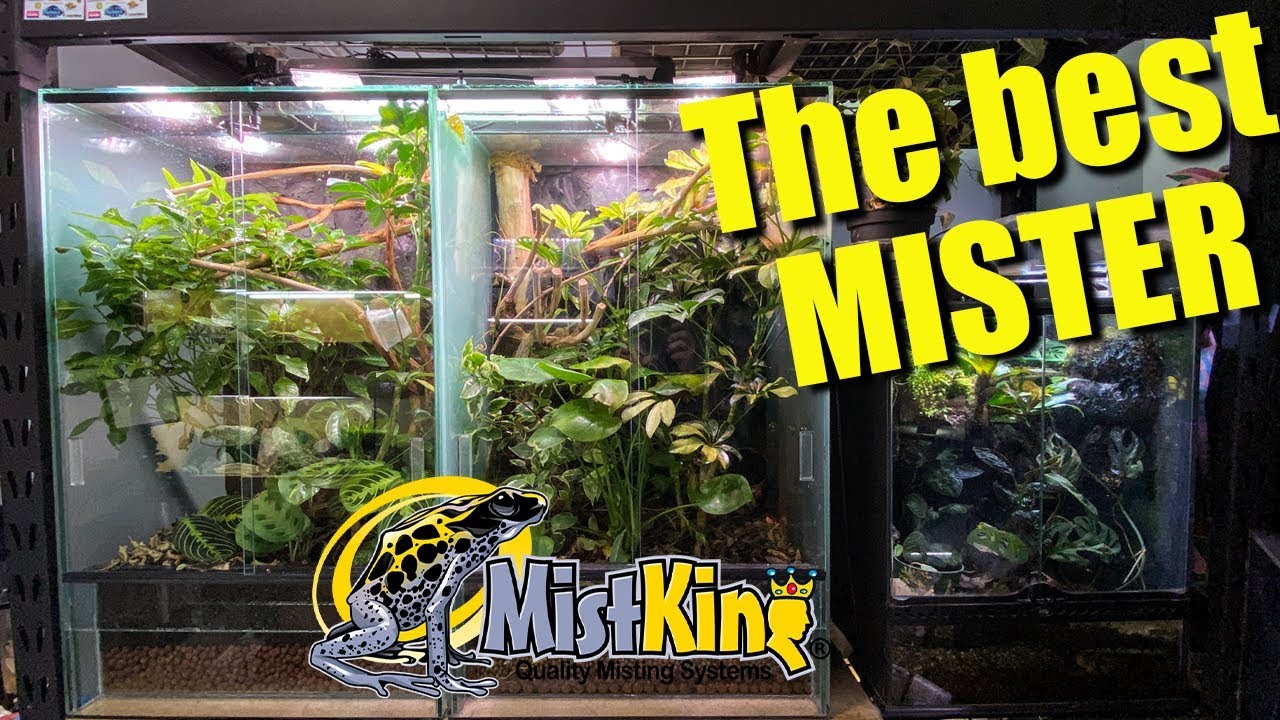 How to setup a MISTKING + program timer!!!