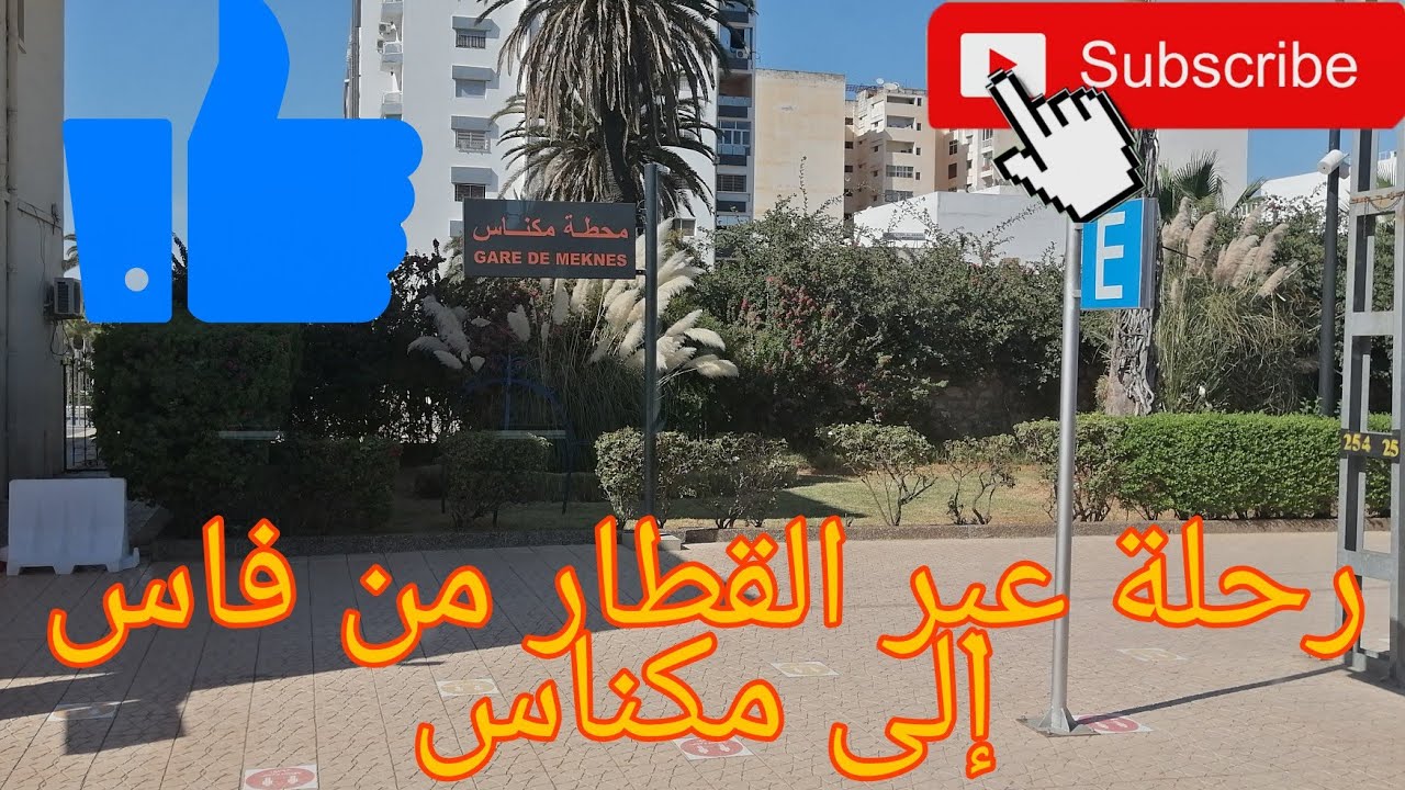 رحلة عبر القطار من فاس إلى مكناس منظر رائع للحقول وأشجار الزيتون