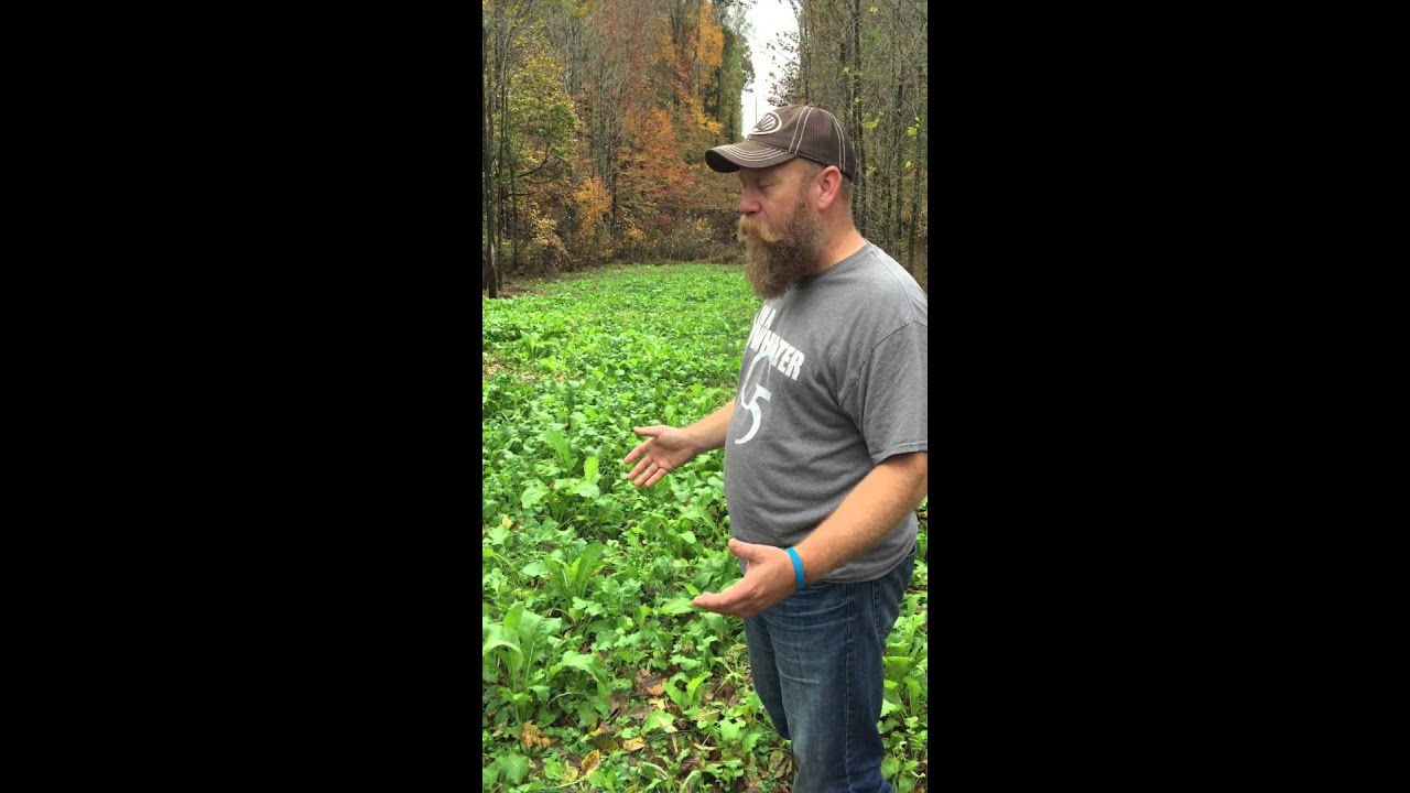 throw and grow food plot tutorial